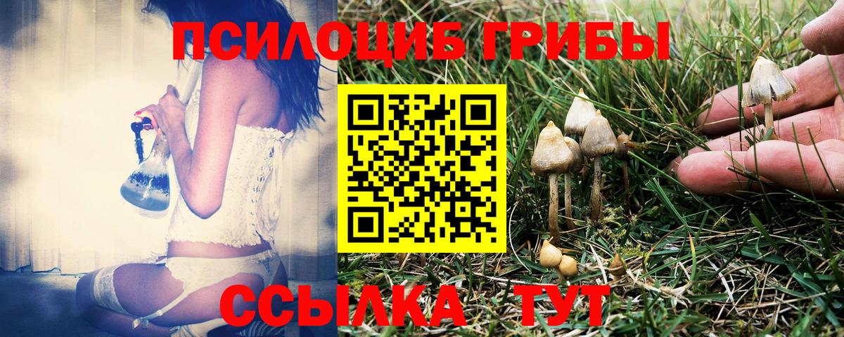 Псилоцибиновые грибы мицелий Сибай