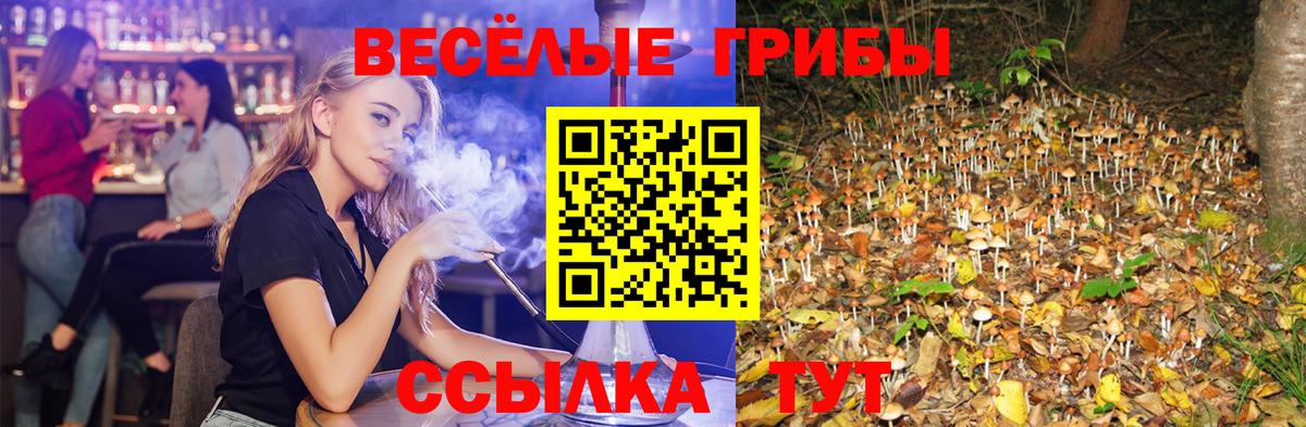 Галлюциногенные грибы мухоморы  Вход с VPN  Сибай 